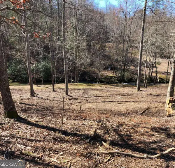 LT 26 Arbor Creek Trail #26, Mineral Bluff, GA 30559