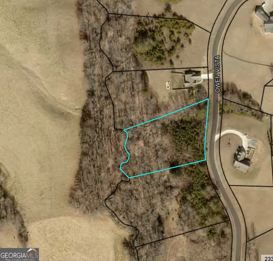 LOT 44 Owen Vista, Blairsville, GA 30512 - #3