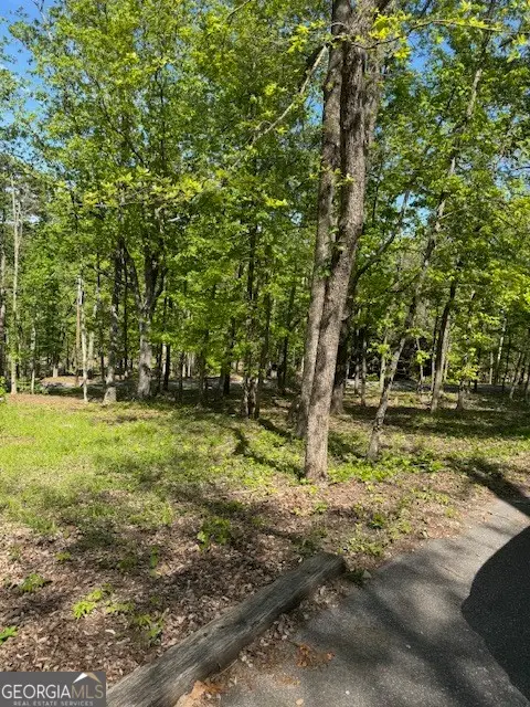 LOT 40 Royal Lodge Estates, Pine Mountain, GA 31822 - #3