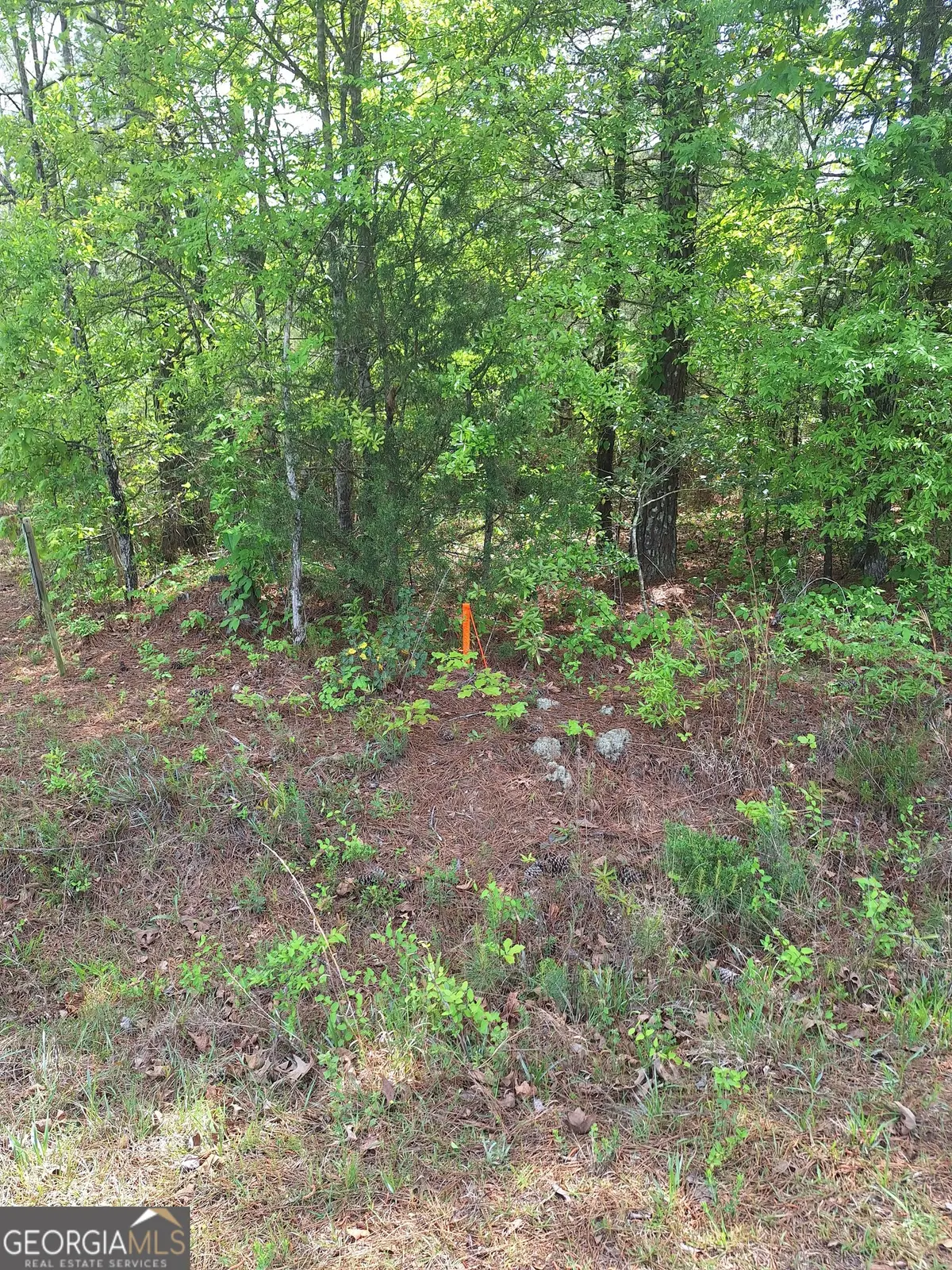 0 Hester Road, Elberton, GA 30635 - #1