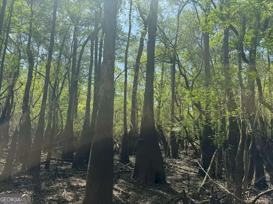 0 Lewis Landing, Nahunta, GA 31553 - #2