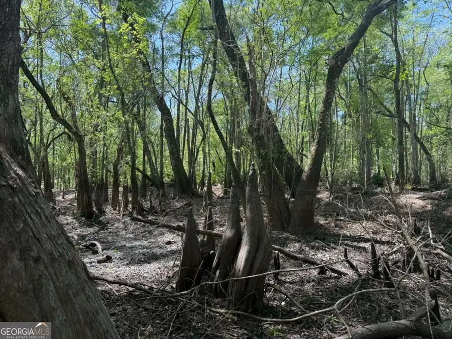 0 Lewis Landing, Nahunta, GA 31553 - #3