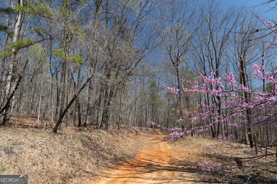 0 Soapstone Road, Banks, GA 30511 - #2