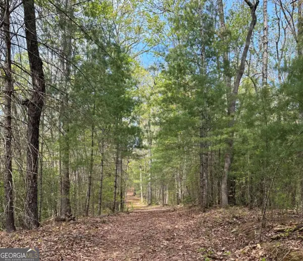 LOT 20 Big Ben Road #20, Ellijay, GA 30540