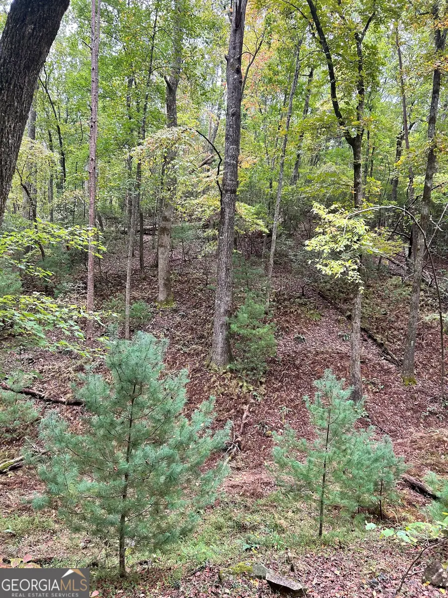 0 Lower Gap Rd #W16, Sautee Nacoochee, GA 30571 - #2