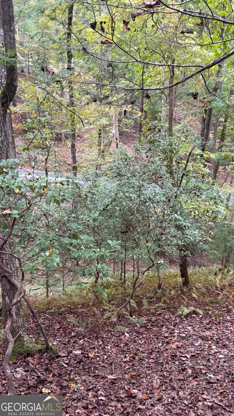 0 Lower Gap Rd #W16, Sautee Nacoochee, GA 30571 - #3