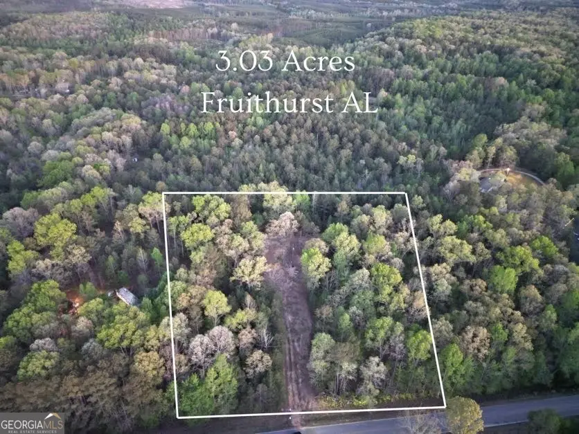456 County Road 65, Fruithurst, AL 36262 - #1