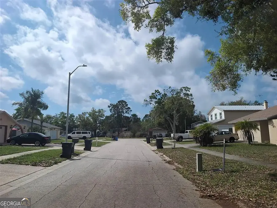 14705 Penguin Place, Tampa, FL 33625 - #3