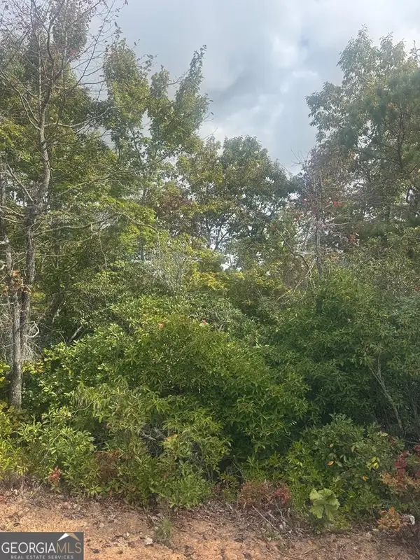 LOT 16 Brown Hawk Drive, Clayton, GA 30525