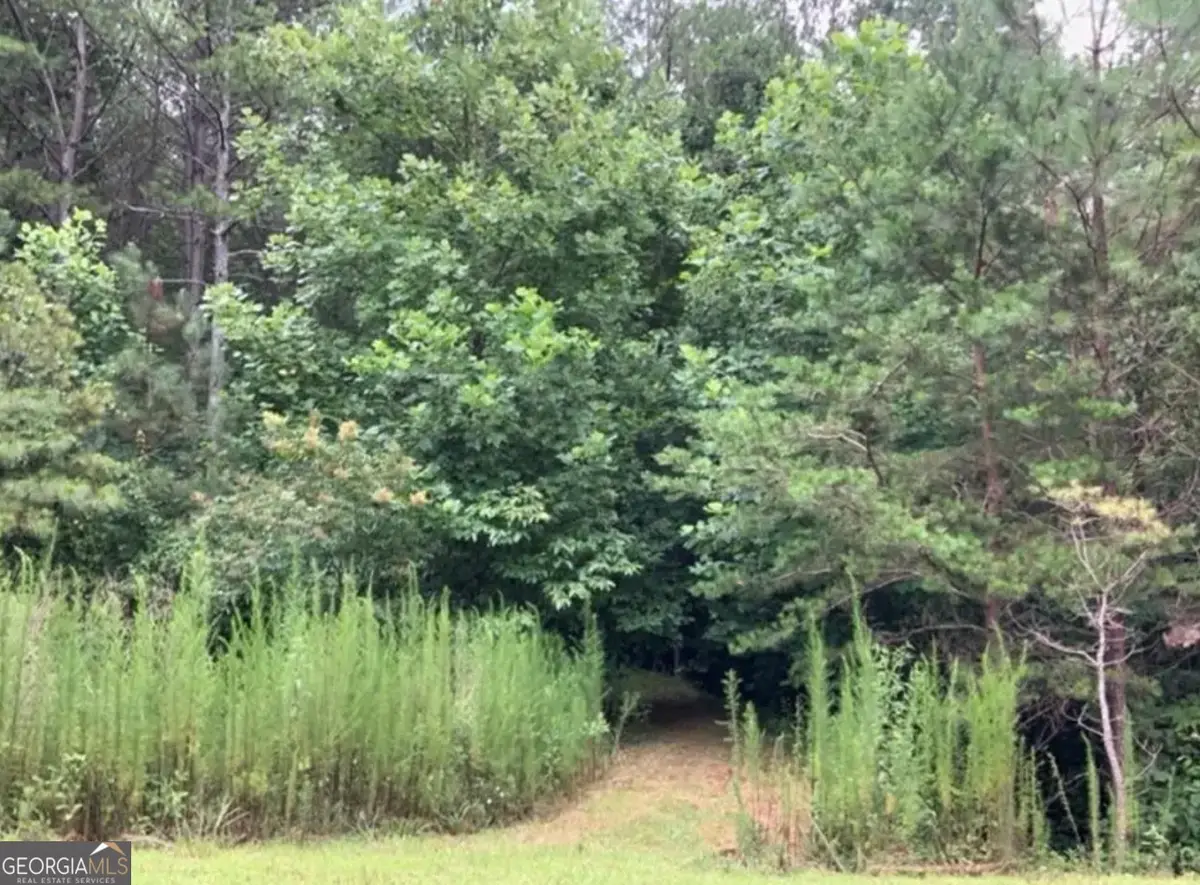LOT 37 Eastside Drive, Ellijay, GA 30536 - #1