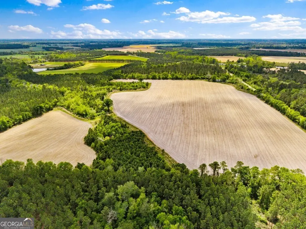 0 Minnie Gidden Road, Lenox, GA 31637 - #1