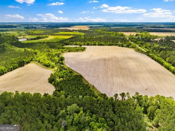 0 Minnie Gidden Road, Lenox, GA 31637