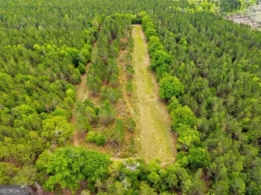 0 Minnie Gidden Road, Lenox, GA 31637 - #3