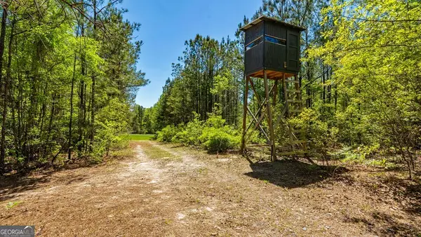 0 Wainwright Road, Butler, GA 31006