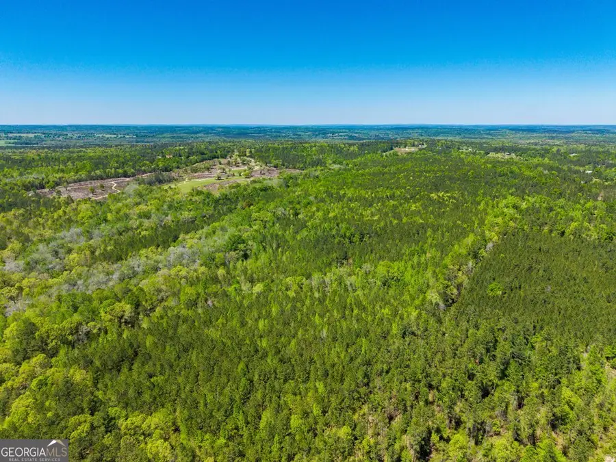 0 Wainwright Road, Butler, GA 31006 - #2