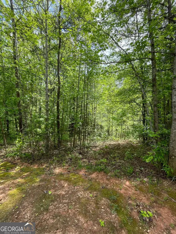 205 White Birch Drive, Covington, GA 30016