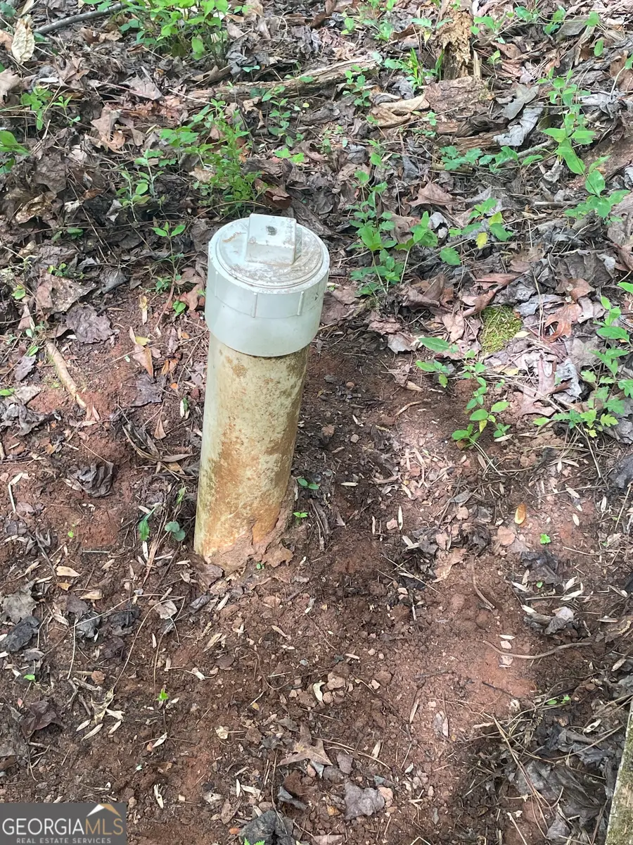 205 White Birch Drive, Covington, GA 30016 - #2