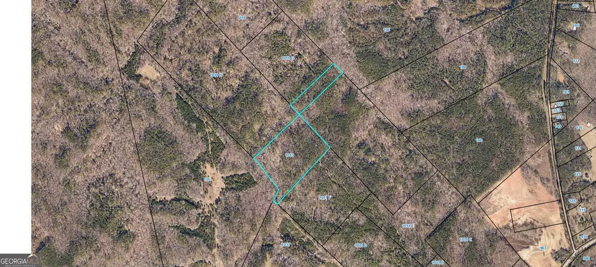 1013 49 W Highway, Haddock, GA 31033 - #1