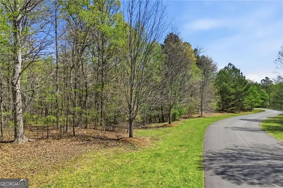 121 Heritage Plantation Drive, Ball Ground, GA 30107 - #3
