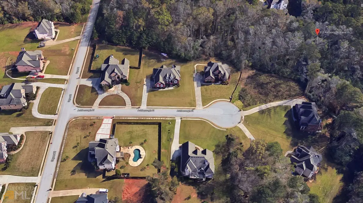 313 Ashborough Place, Stockbridge, GA 30281 - #1
