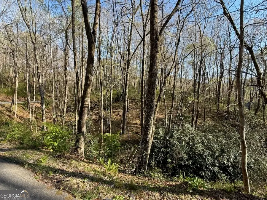 0 Thunderhead, Sky Valley, GA 30537 - #2