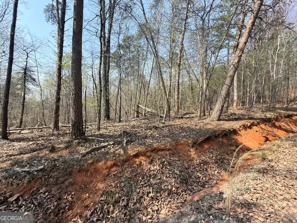 LOT 202 Baldwin Heights Road, Baldwin, GA 30511