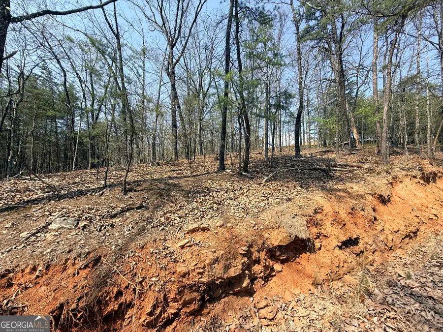 LOT 202 Baldwin Heights Road, Banks, GA 30511 - #2