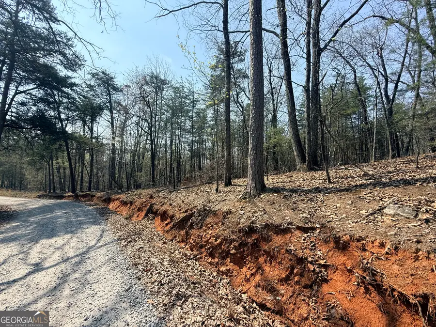 LOT 202 Baldwin Heights Road, Banks, GA 30511 - #3