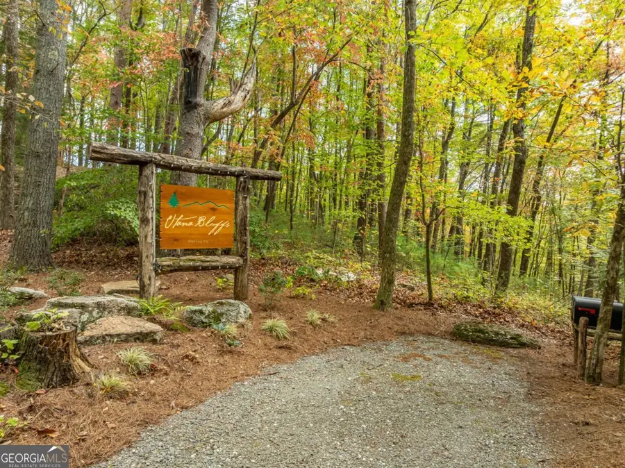 LOT 1 Chief Whitetails Road, Ellijay, GA 30540 - #3
