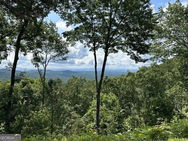 LOT 46 Utana Bluffs Trail, Ellijay, GA 30540 - #1