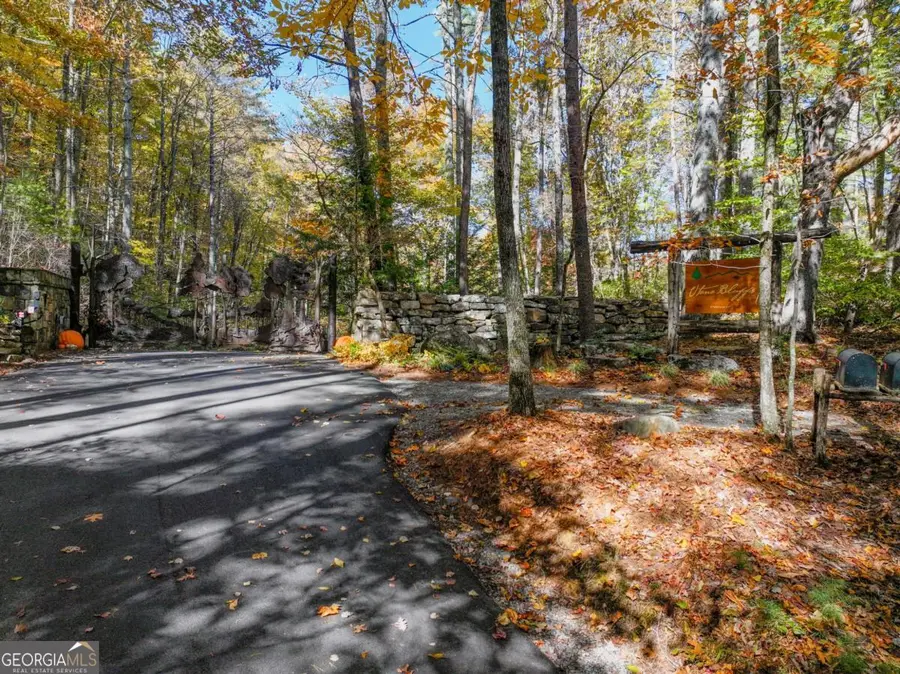 LOT 46 Utana Bluffs Trail, Ellijay, GA 30540 - #2