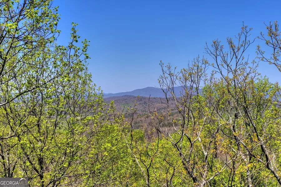 1073 Old Burnt Mountain Road, Ellijay, GA 30536 - #3