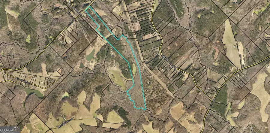 2230 Reese Road #TRACT C, Rutledge, GA 30663 - #2