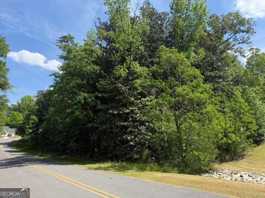 LOT 19-20 Wedgewood Drive, Sandersville, GA 31082 - #3