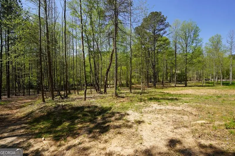 1600 Sperin Road, Ball Ground, GA 30107 - #3