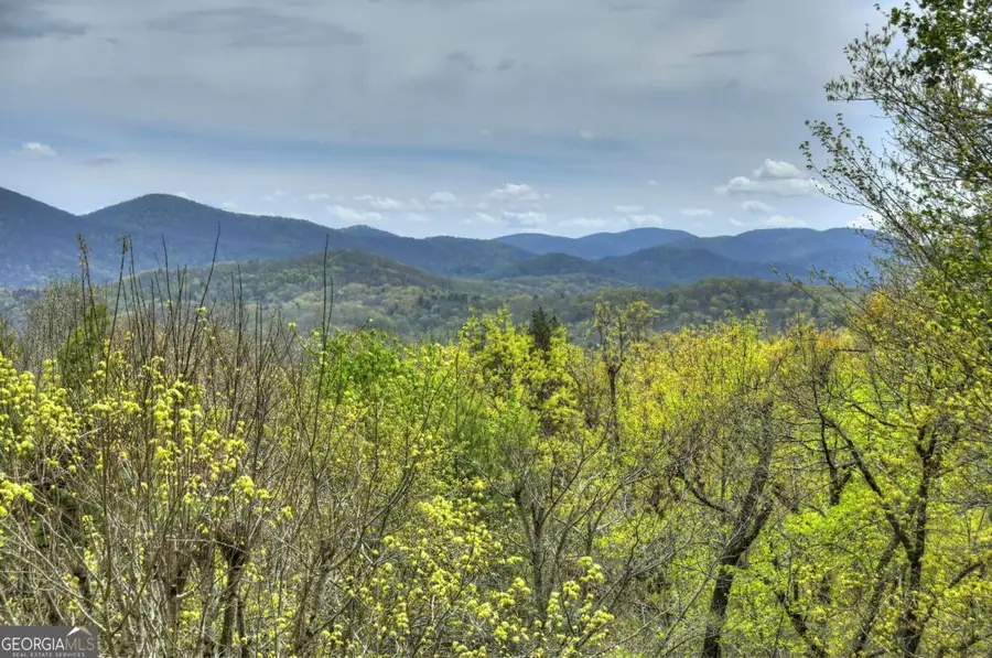 6 Red Holly Road, Blue Ridge, GA 30513 - #2