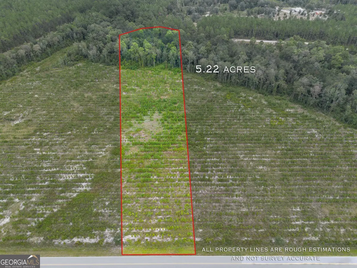 TRACT 5 River Road, Folkston, GA 31537 - #1