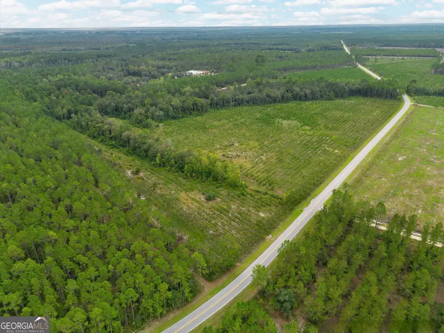 TRACT 7 River Road, Folkston, GA 31537 - #3