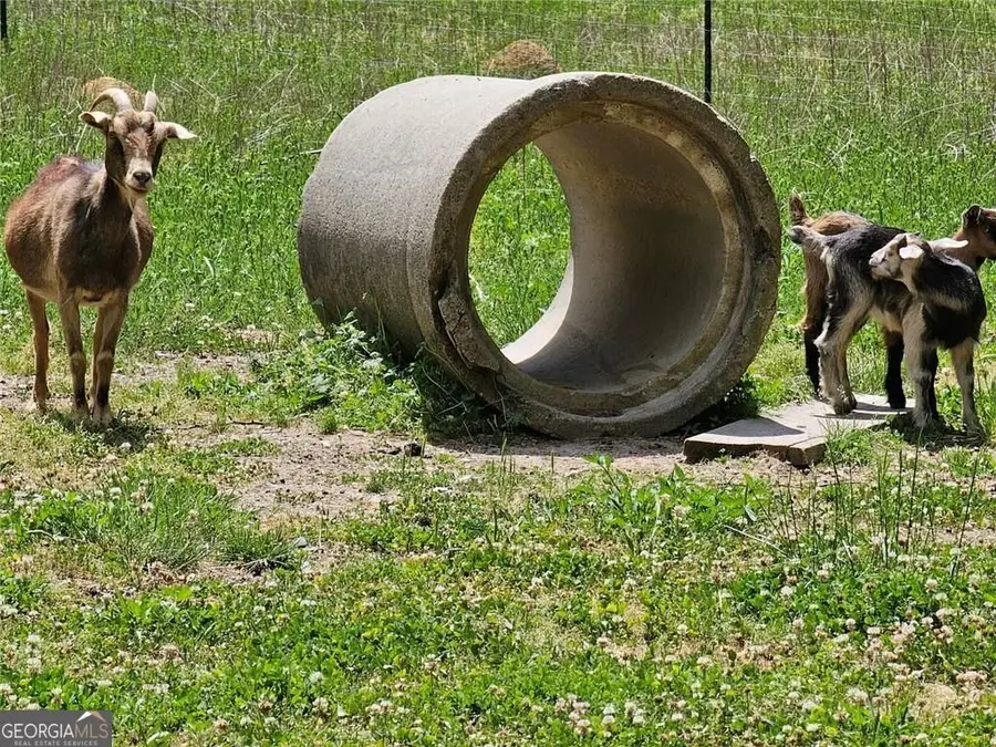 678 Wray Mine Road, Buchanan, GA 30113 - #3