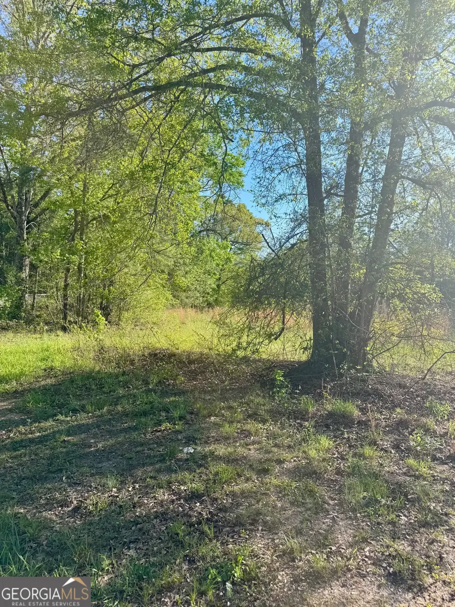 0 Susie Pope Rd, Buchanan, GA 30113 - #2