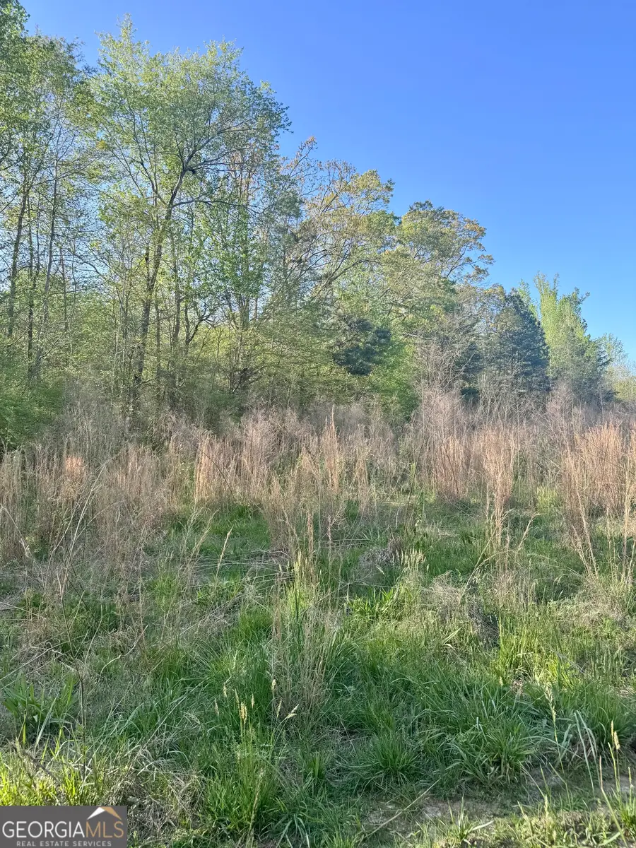 0 Susie Pope Rd, Buchanan, GA 30113 - #3