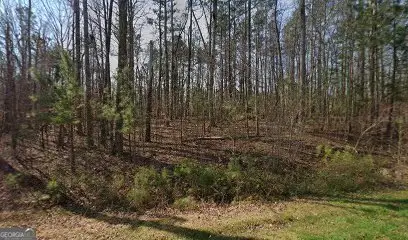 3990 Fouts Drive, Cumming, GA 30028