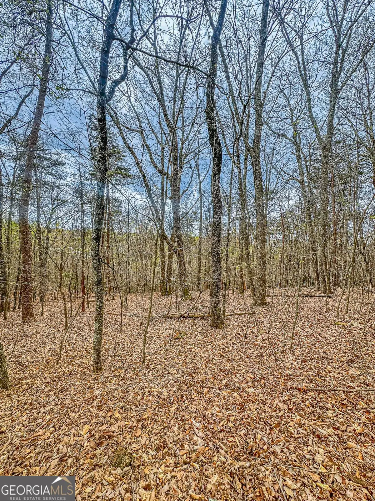 0 Green Meadows, Dahlonega, GA 30533 - #1