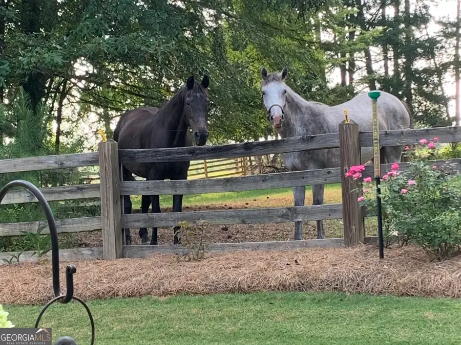 1409 Silver Thorne Court, Loganville, GA 30052 - #3