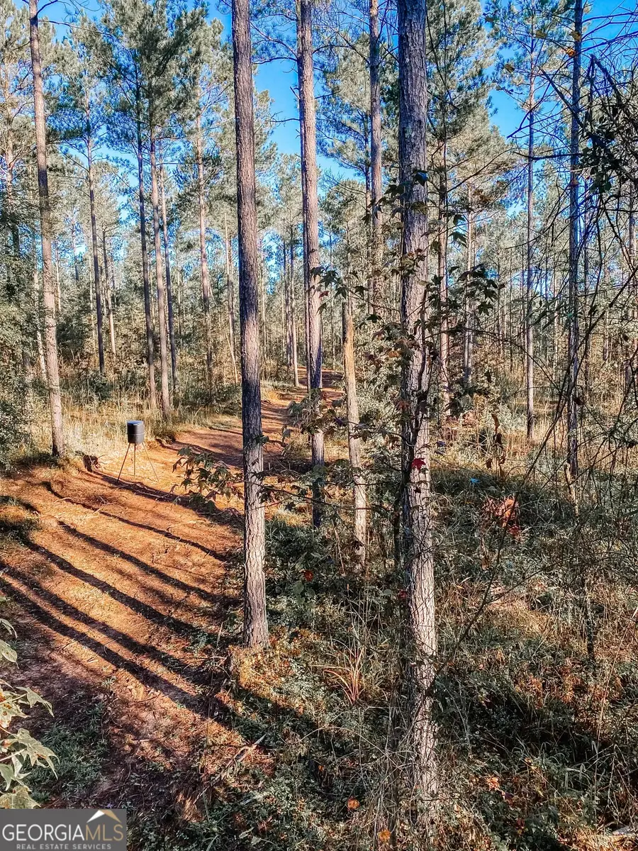 0 Weaver Jones Road, Rutledge, GA 30663 - #3