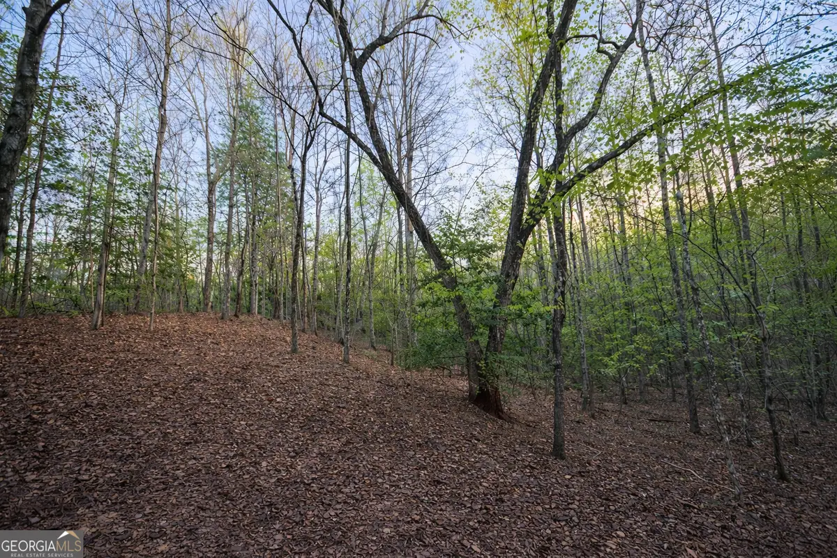 LOT 5 Riverbend Manor, Blue Ridge, GA 30513 - #1