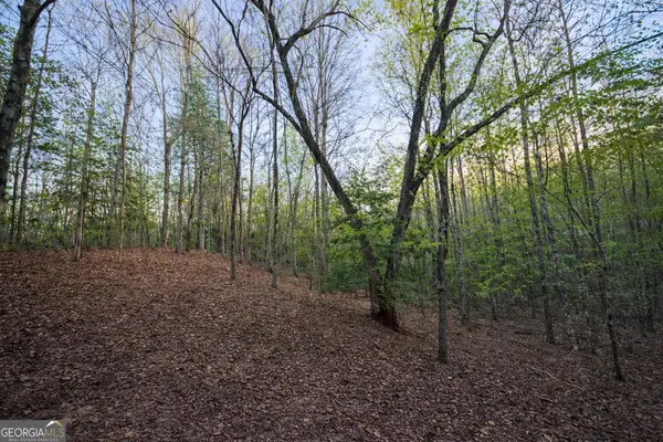 LOT 5 Riverbend Manor, Blue Ridge, GA 30513