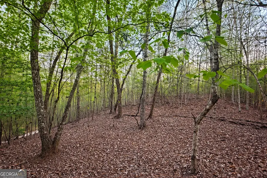 LOT 5 Riverbend Manor, Blue Ridge, GA 30513 - #2