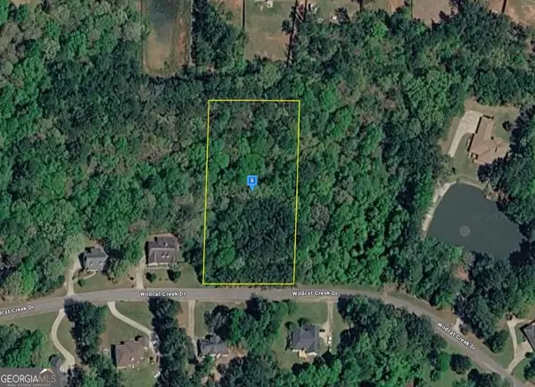 40 Wildcat Creek Drive, Covington, GA 30016