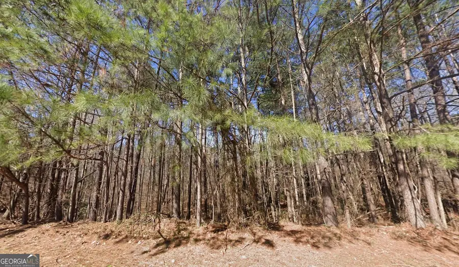 40 Wildcat Creek Drive, Covington, GA 30016 - #2